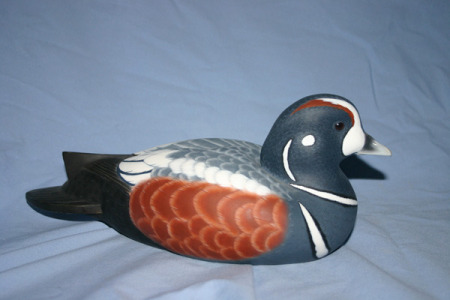harlequin duck.jpg