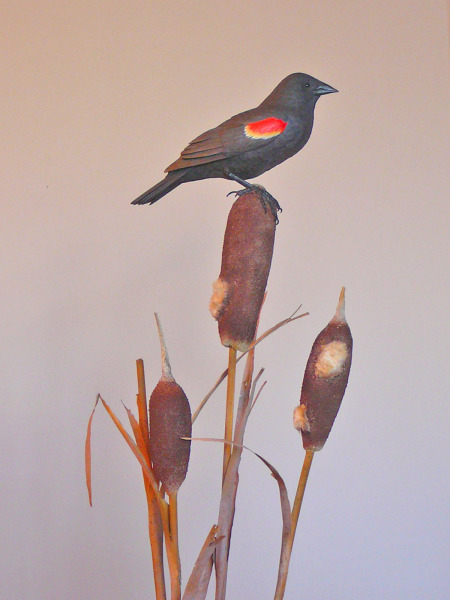 red-winged blackbird.jpg